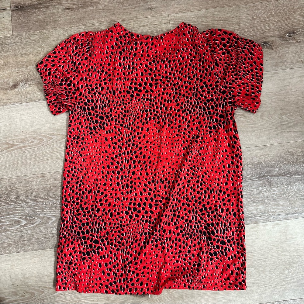 Lularoe Olive size xs - Picture 4 of 4